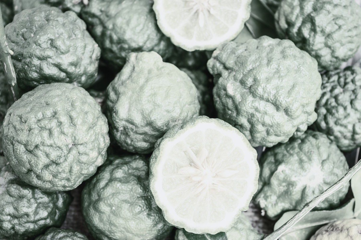 Bergamot