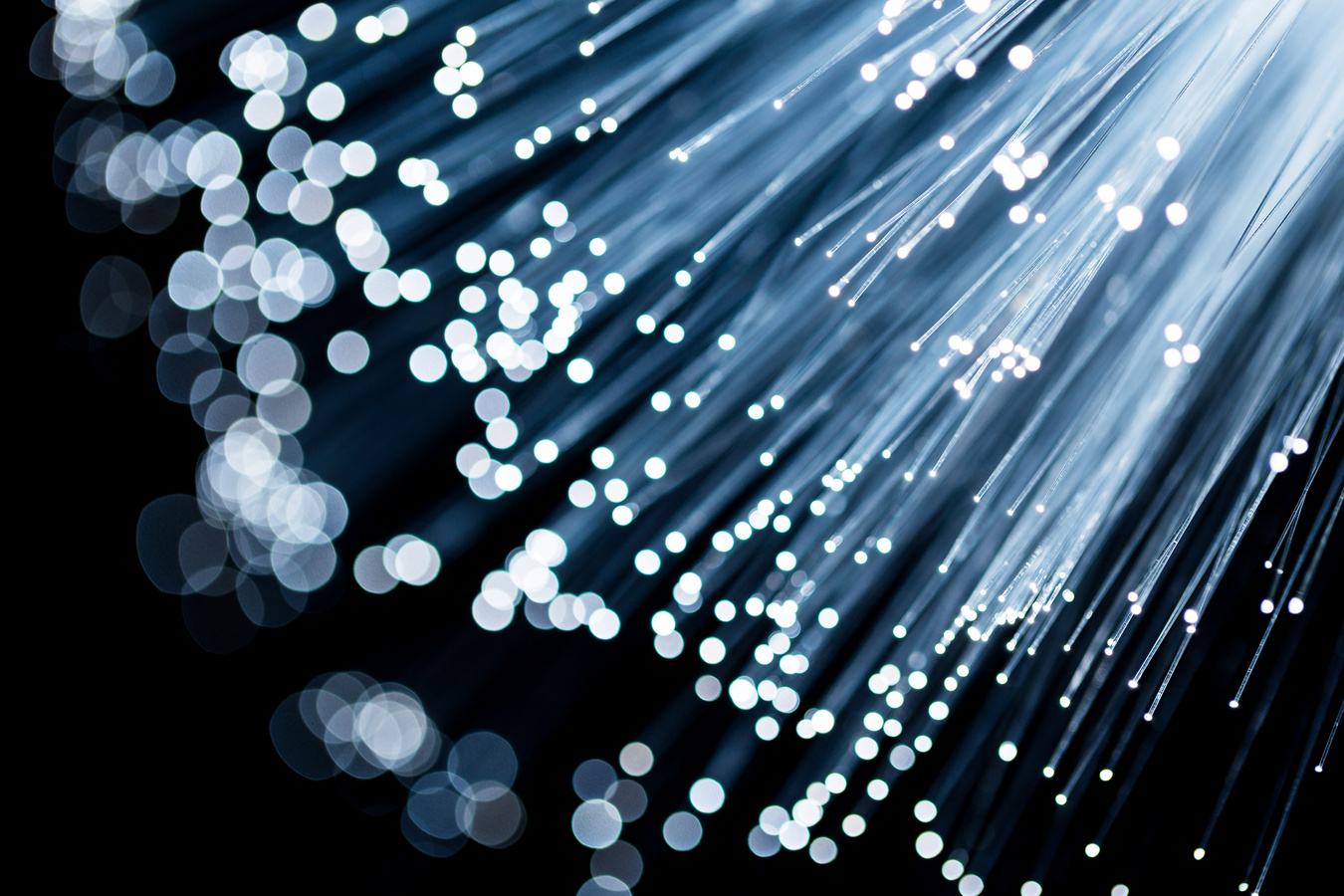 Fiber Optic