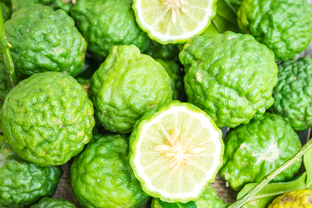 Bergamot